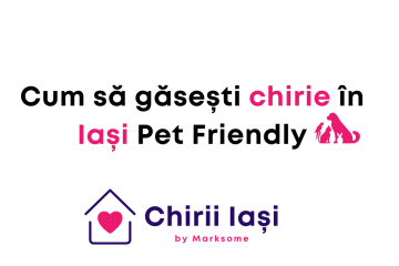 Cum să găsești chirie în Iași care acceptă animale de companie